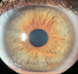 OJO COLOR AVELLANA